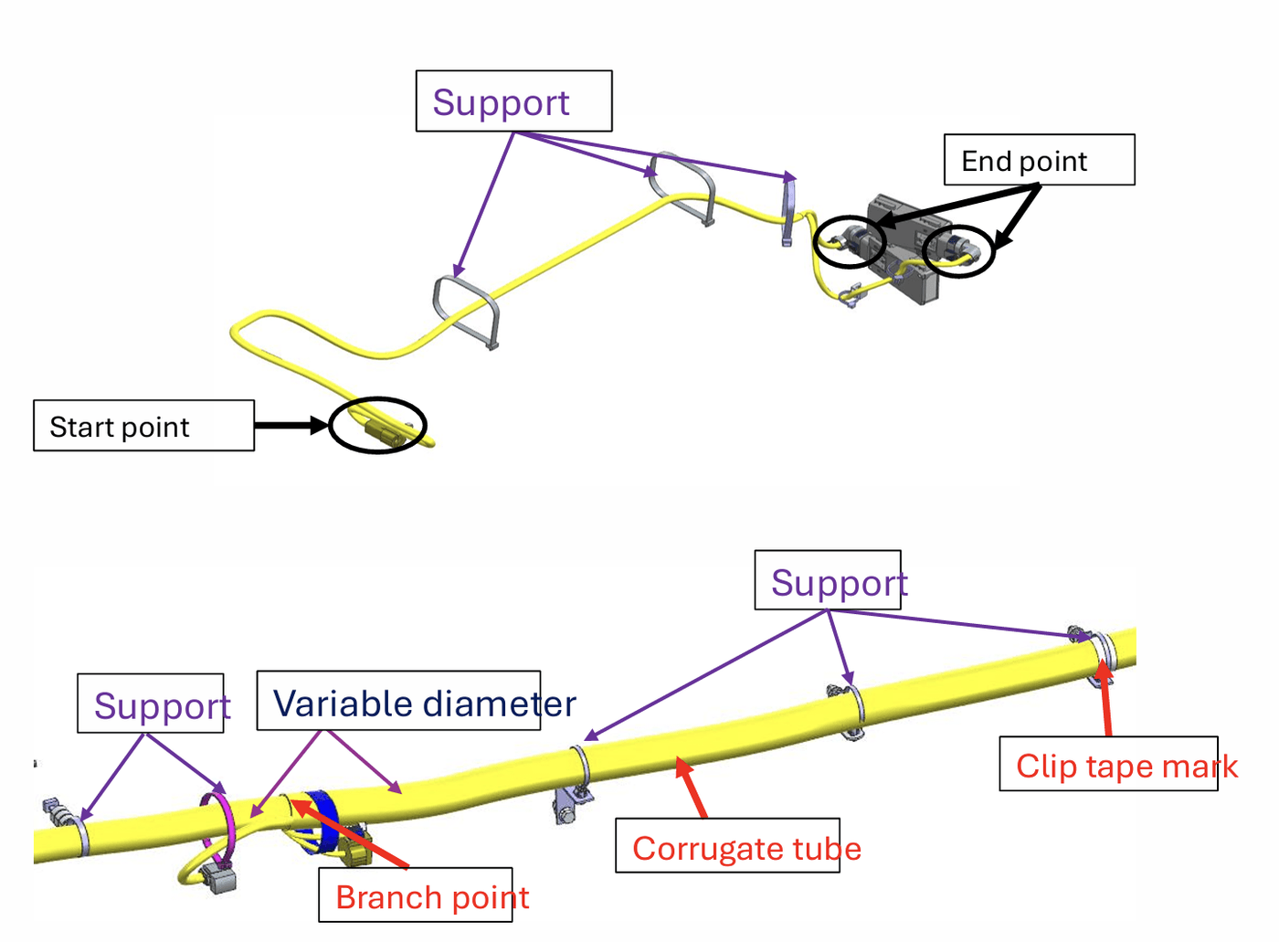 Wiring harness route with branch points, supports and clip positions annotated